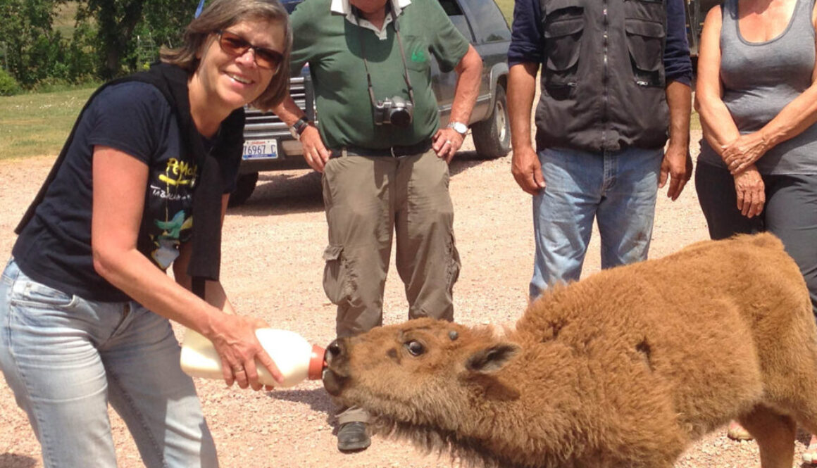 Titel Sommer Seminar 2026 Agustin Sommer-Seminar 2026 mit dem Schamanen Agustin