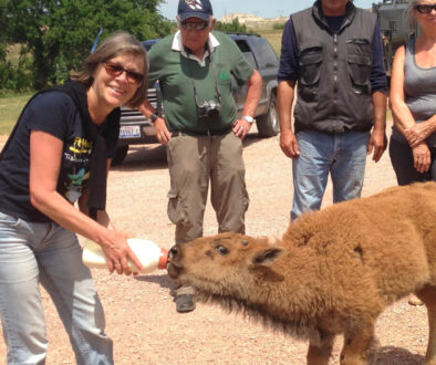 Titel Sommer Seminar 2026 Agustin Sommer-Seminar 2026 mit dem Schamanen Agustin